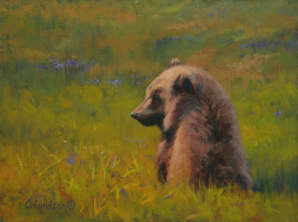 Little Alaska - Brown Bear Cub