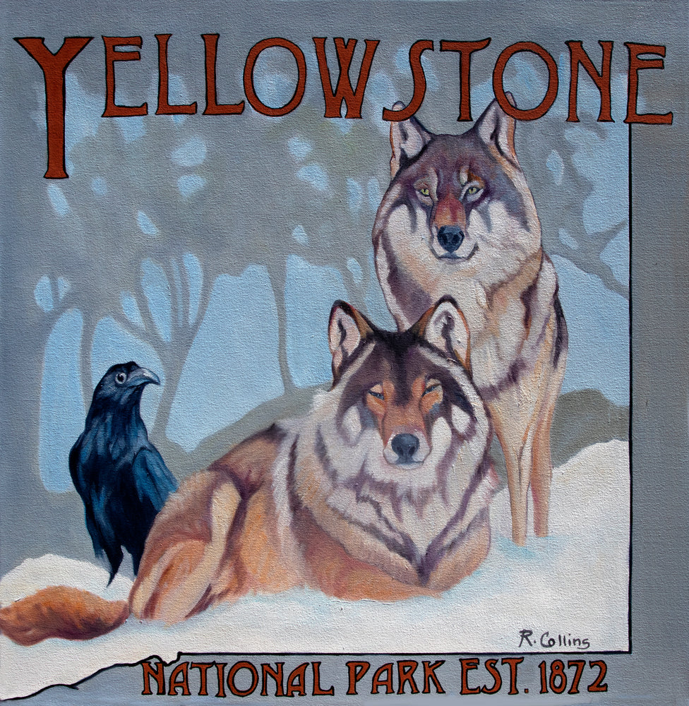 Gray Wolves of Yellowstone