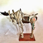 Mission Mountain Moose